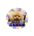 高橋家のモカ（個別スタンプ：11）