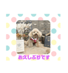 高橋家のモカ（個別スタンプ：13）