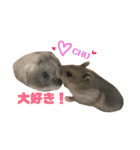 うちのハムたん ラテくん編（個別スタンプ：9）