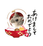 うちのハムたん ラテくん編（個別スタンプ：23）