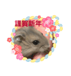 うちのハムたん ラテくん編（個別スタンプ：24）