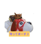 雑種のむーやんその3（個別スタンプ：3）