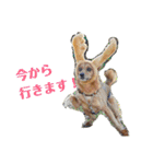 雑種のむーやんその3（個別スタンプ：7）