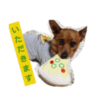 雑種のむーやんその3（個別スタンプ：22）