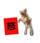雑種のむーやんその3（個別スタンプ：23）