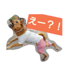 雑種のむーやんその3（個別スタンプ：31）
