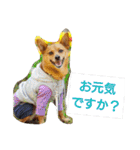 雑種のむーやんその3（個別スタンプ：33）