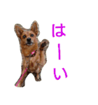 雑種のむーやんその3（個別スタンプ：34）