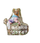 雑種のむーやんその3（個別スタンプ：38）