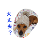 雑種のむーやんその3（個別スタンプ：39）