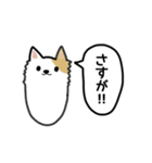 あごねことあごいぬ（個別スタンプ：36）