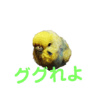 うちのとりくん（個別スタンプ：14）