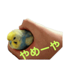 うちのとりくん（個別スタンプ：23）