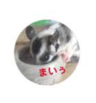 フクロモモンガ・詩の毎日（個別スタンプ：7）