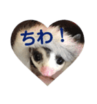 フクロモモンガ・詩の毎日（個別スタンプ：18）
