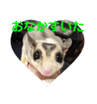 フクロモモンガ・詩の毎日（個別スタンプ：19）