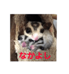 フクロモモンガ・詩の毎日（個別スタンプ：22）