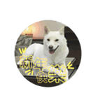 私の名前は丸米財です。（個別スタンプ：4）
