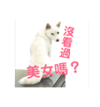 私の名前は丸米財です。（個別スタンプ：7）