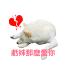 私の名前は丸米財です。（個別スタンプ：12）