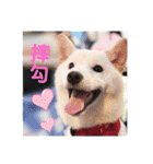 私の名前は丸米財です。（個別スタンプ：13）
