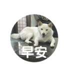 私の名前は丸米財です。（個別スタンプ：24）