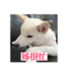 私の名前は丸米財です。（個別スタンプ：25）