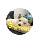 私の名前は丸米財です。（個別スタンプ：26）
