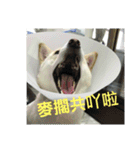 私の名前は丸米財です。（個別スタンプ：28）