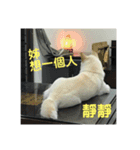 私の名前は丸米財です。（個別スタンプ：29）