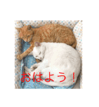 はなちゃんスタンプ©️nkk（個別スタンプ：7）