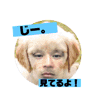 まいめん。（個別スタンプ：22）