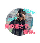まいめん。（個別スタンプ：31）