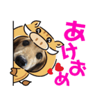 亜比留と妃由娘のスタンプ☆（個別スタンプ：20）