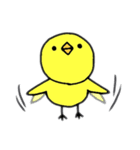 ぴよ子さん。（個別スタンプ：5）