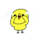 ぴよ子さん。（個別スタンプ：6）
