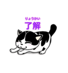 ぽっちゃり猫のチャコちゃんスタンプ第2弾（個別スタンプ：1）