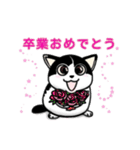 ぽっちゃり猫のチャコちゃんスタンプ第2弾（個別スタンプ：6）