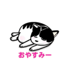 ぽっちゃり猫のチャコちゃんスタンプ第2弾（個別スタンプ：12）