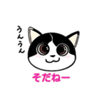 ぽっちゃり猫のチャコちゃんスタンプ第2弾（個別スタンプ：15）