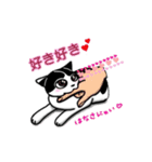 ぽっちゃり猫のチャコちゃんスタンプ第2弾（個別スタンプ：17）