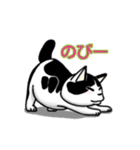 ぽっちゃり猫のチャコちゃんスタンプ第2弾（個別スタンプ：18）
