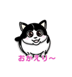 ぽっちゃり猫のチャコちゃんスタンプ第2弾（個別スタンプ：20）