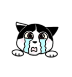 ぽっちゃり猫のチャコちゃんスタンプ第2弾（個別スタンプ：21）