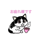 ぽっちゃり猫のチャコちゃんスタンプ第2弾（個別スタンプ：22）