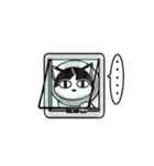 ぽっちゃり猫のチャコちゃんスタンプ第2弾（個別スタンプ：24）