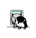 ぽっちゃり猫のチャコちゃんスタンプ第2弾（個別スタンプ：25）