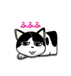 ぽっちゃり猫のチャコちゃんスタンプ第2弾（個別スタンプ：33）