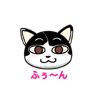 ぽっちゃり猫のチャコちゃんスタンプ第2弾（個別スタンプ：34）