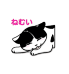 ぽっちゃり猫のチャコちゃんスタンプ第2弾（個別スタンプ：36）